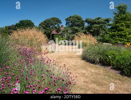 Abbeywood Gardens im Sommer, in der Nähe von Delamere, Cheshire, England, Großbritannien Stockfoto