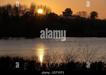 Sonnenuntergang über Big Mere, Marbury, Héshire, England, Großbritannien Stockfoto