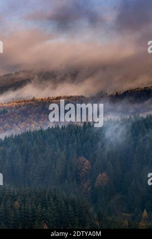 Nebelklären vom Macclesfield Forest im Herbst, bei Macclesfield, Cheshire, England, UK Stockfoto
