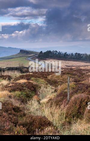 Windgather Rocks, Cheshire and Derbyshire Border, Peak District National Park, England, Großbritannien Stockfoto