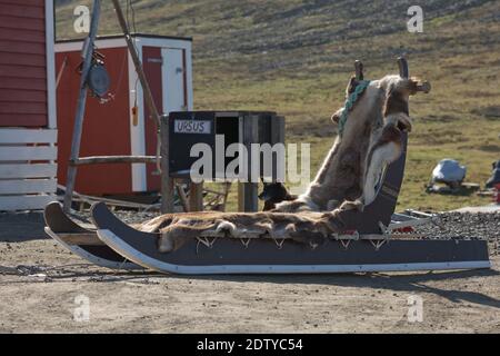 Longyearbyen, Svalbard, Norwegen - 22. Juli 2017: Hundeschlitten im Sommer in Longyearbyen Svalbard in Norwegen. Stockfoto