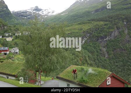 Geiranger, Norwegen - 24. Juni 2017: Ein Mann, der auf seinem alten Holzhaus in den Fjorden von Geiranger in Norwegen Grasdach schneidet. Stockfoto