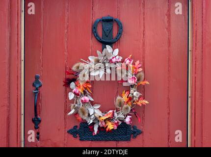 Saisonaler Herbstkranz an einer roten Haustür, Cheshire, England, Großbritannien Stockfoto