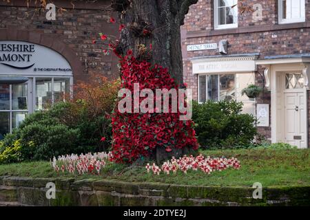 Feierlichkeiten zum Gedenktag in Tarporley Village, Taporley, Kenshire, England, Großbritannien Stockfoto