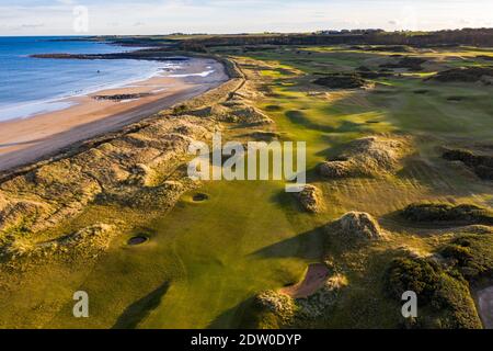 Luftaufnahme von Kingsbarns Links Golfplatz außerhalb von St Andrews in Fife, Schottland, Großbritannien Stockfoto