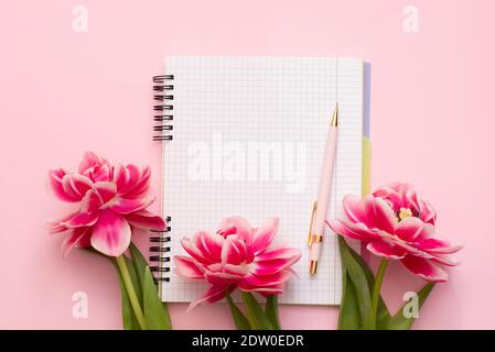 Notizbuch auf Spirale mit leerem weißen Blatt, Stift und rosa Tulpen auf pastellrosa Hintergrund mit einem Kopierraum Stockfoto