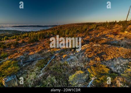 Sonnenaufgang auf Plechy Hügel im Winter sonnig kalt Morgen in Sumava Nationalpark Stockfoto