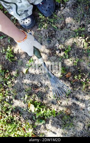 Frau im Garten im Hinterhof. Die Hände des Gärtners verwenden einen Rechen, um den Boden für das Pflanzen von Samen und Pflanzen zu lockern Stockfoto