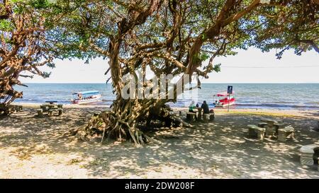 Boot am Lake of Nicaragua Relaxing Lake Nicaragua Landschaft mit Baum. Nicaragua, Mittelamerika.gua durch die Inselchen von Granada, Nicaragua Stockfoto