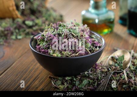 Schale mit trockenem Origanum vulgare oder wilden Majoran-Blüten. Flasche ätherisches Öl auf dem Tisch. Stockfoto