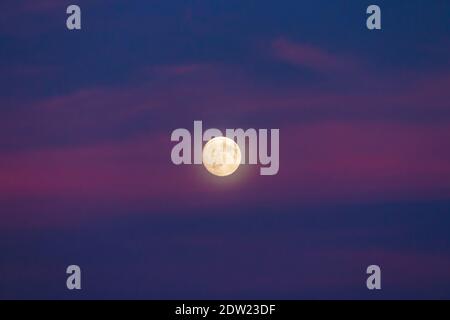 Gelber Vollmond mit Schein am Himmel mit Lila Wolken Stockfoto