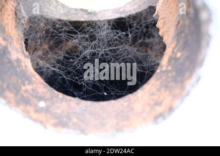 Spinnennetz im Kamin. Netz in der dunklen Seite des Lochs. Stockfoto