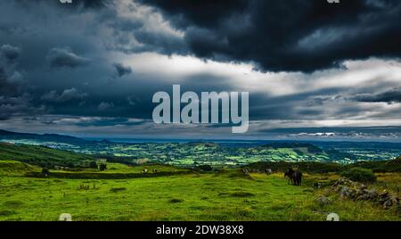 Stürmische Wolken, Pferde und schöne grüne Landschaft von Irland Stockfoto