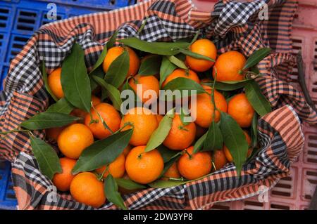 Nahaufnahme einiger reifer Mandarinen, die gerade vom Baum gepflückt wurden In einer mit einem karierten Tuch verzierten Obstkiste Stockfoto