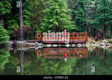 Aussichtsplattform für den Teich, Murdo Frazer Park, District of North Vancouver, British Columbia, Kanada Stockfoto