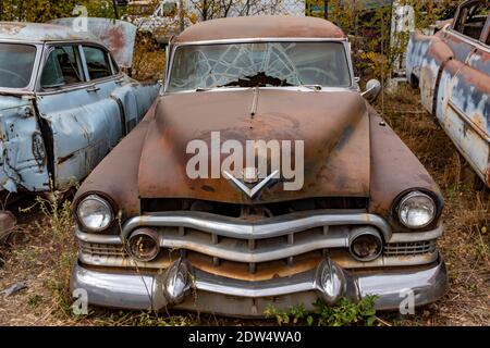 Liquidation eines Autoschrottplatzes in Albuquerque, New Mexico Stockfoto