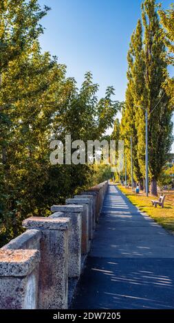 Eine lange, enge Straße ohne Menschen, grünes Laub auf den Bäumen, eine schöne Gasse. Stockfoto