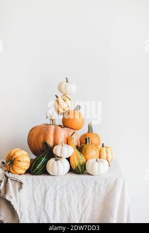 Bunte Kürbisse in verschiedenen Formen und Größen in Pyramidenkomposition auf heller Tischdecke, weiße Wand im Hintergrund. Kürbisse für Halloween oder Thanksg Stockfoto