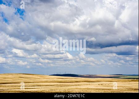 Prairie Landschaft mit Windgeneratoren in der Ferne unter niedrigen Wolken, in Alberta, Kanada. Stockfoto