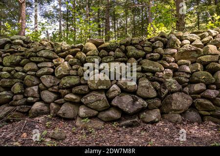 Flechten und Moos auf trocken gestapelten Steinwand entlang der McKee Branch Trail im Great Smoky Mountains National Park Stockfoto