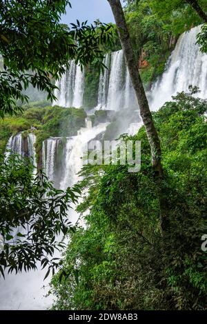 Einer der größten Wasserfälle der Welt, Foz do Iguaçu (Iguazu-Wasserfälle), von der argentinischen Seite aus gesehen Stockfoto