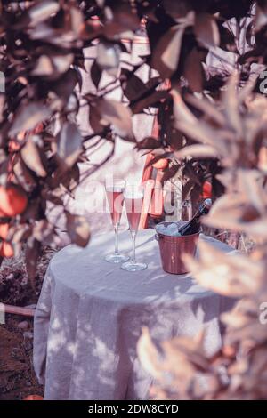 Tisch im Garten neben dem Orangenbaum mit zwei Gläsern Sekt. Stockfoto