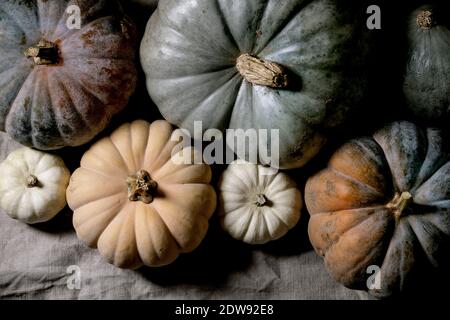 Bunte Kürbisse Kollektion verschiedene Größen und Sorten auf Leinen Tischdecke. Flach liegend. Herbsternte. Stockfoto