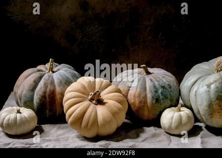 Bunte Kürbisse Kollektion verschiedene Größen und Sorten auf Leinen Tischdecke. Dunkles Stillleben. Herbsternte. Stockfoto