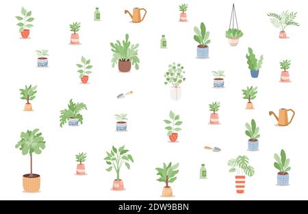Set von grünen Pflanzen, Bäumen und Blumen in Töpfen und Gartengeräte Vektor flache Illustration. Heimische oder tropische Pflanzen in Töpfen, Gießkannen, Schaufeln, Flaschen mit Dünger für Pflanzen. Stock Vektor