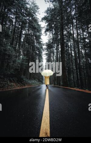 Frauen in gelber Regenjacke & gelber Regenschirm auf der Wet Forest Road. Nach Hinten Gerichtete Kamera. Gehen Sie Die Gelbe Linie Hinunter. Moody. Vancouver, BC, Kanada Stockfoto