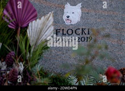 Hamburg, Deutschland. Dezember 2020. Das Grab eines Hundes namens Flocki ist auf dem Ohlsdorfer Friedhof mit Blumen geschmückt. Seit März können Meister und Mätressen zusammen mit ihren Tieren im Osten des Friedhofs begraben werden. Die ersten Tiere haben dort bereits ihre letzte Ruhestätte gefunden. Quelle: Axel Heimken/dpa/Alamy Live News Stockfoto