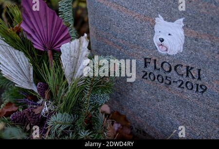 Hamburg, Deutschland. Dezember 2020. Das Grab eines Hundes namens Flocki ist auf dem Ohlsdorfer Friedhof mit Blumen geschmückt. Seit März können Meister und Mätressen zusammen mit ihren Tieren im Osten des Friedhofs begraben werden. Die ersten Tiere haben dort bereits ihre letzte Ruhestätte gefunden. Quelle: Axel Heimken/dpa/Alamy Live News Stockfoto
