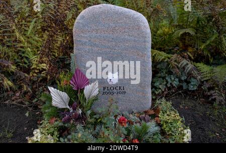 Hamburg, Deutschland. Dezember 2020. Das Grab eines Hundes namens Flocki ist auf dem Ohlsdorfer Friedhof mit Blumen geschmückt. Seit März können Meister und Mätressen zusammen mit ihren Tieren im Osten des Friedhofs begraben werden. Die ersten Tiere haben dort bereits ihre letzte Ruhestätte gefunden. Quelle: Axel Heimken/dpa/Alamy Live News Stockfoto