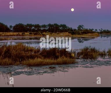 Mondaufgang, Doe Hall Plantation, McLellanville, South Carolina Stockfoto