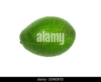 Reife und grüne Avocado auf weißem Hintergrund. Frische Avocado auf weißem Hintergrund Stockfoto