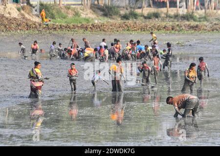 Seit Beginn der aktuellen Trockenzeit ist das Wasser von Kanälen, Flüssen, Kanälen und Teichen in Tannagail rapide rückläufig.Angelfeste Stockfoto