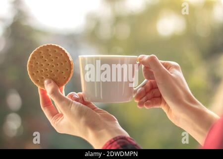 Eine weibliche Hand hält eine Tasse mit Kaffee und Keksen. Frauenhand mit Kaffee und Cookies am Fenster als Hintergrund mit Platz für Text Stockfoto