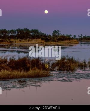 Mondaufgang, Doe Hall Plantation, McLellanville, South Carolina Stockfoto