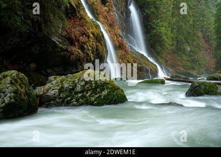 UN-Named Creek fällt über Feature Show Falls und in Boulder River, Boulder River Wilderness, Central Cascades, Washington, USA Stockfoto