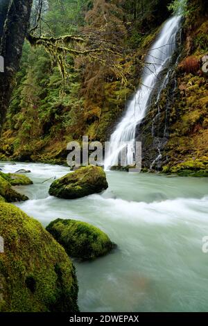 UN-benannte Creek fällt über Wasserfall und in Boulder River, Boulder River Wilderness, Central Cascades, Washington, USA Stockfoto