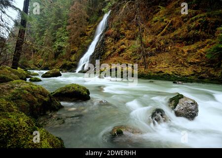 UN-benannte Creek fällt über Wasserfall und in Boulder River, Boulder River Wilderness, Central Cascades, Washington, USA Stockfoto