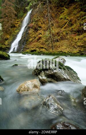 UN-benannte Creek fällt über Wasserfall und in Boulder River, Boulder River Wilderness, Central Cascades, Washington, USA Stockfoto