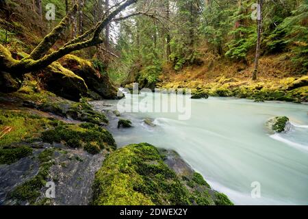 Boulder River fließt durch alten Wald, Boulder River Wilderness, Central Cascades, Washington, USA Stockfoto