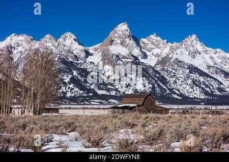 Die Teton Mountains und John Moulton Barn in der Mormon Row im Grand Teton National Park, Wyoming Stockfoto