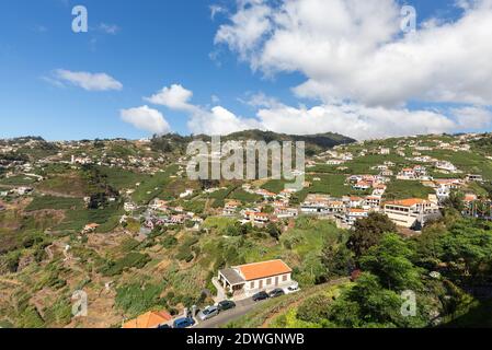 Blick über die Weinberge der Madeira Wine Company, Estreito de Camara de Lobos, Madeira, Portugal Stockfoto