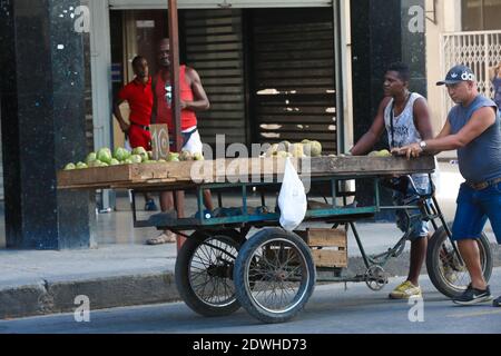 Straßenhändler, der Obst und Gemüse auf seinem Fahrrad in den Straßen von Havanna, Kuba verkauft Stockfoto