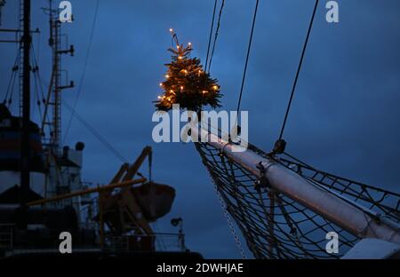 Rostock, Deutschland. Dezember 2020. Zu Weihnachten mit einem Weihnachtsbaum auf dem Jib-Boom geschmückt, liegt das traditionelle Segelschiff 'Santa Barbara Anna' im Stadthafen. Urlauber und Touristen sind an der Ostsee nicht mehr erlaubt seit Beginn der zweiten Sperre feiern die Hanseaten Weihnachten und Silvester zu Hause und untereinander. Quelle: Bernd Wüstneck/dpa-Zentralbild/ZB/dpa/Alamy Live News Stockfoto