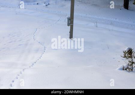 Fußabdrücke in einem Schneefeld und ein elektrischer Mast in Die Landschaft im Winter Stockfoto