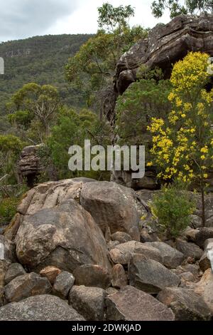 Felsen bei Splitters Falls, Grampians National Park, Victoria, Australien Stockfoto