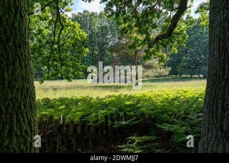 Charakteristischer Stall für deutsche Moorschafe mit Strohdach im Naturschutzgebiet Lüneburger Heide, deutschland Stockfoto